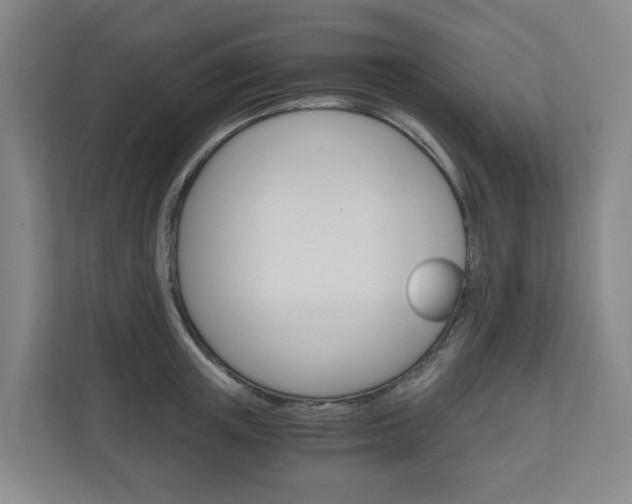 X0000111030851200906251116