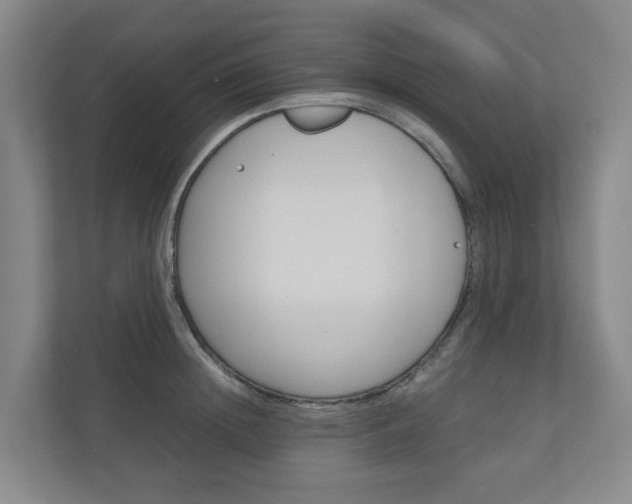 X0000111030852200906251116
