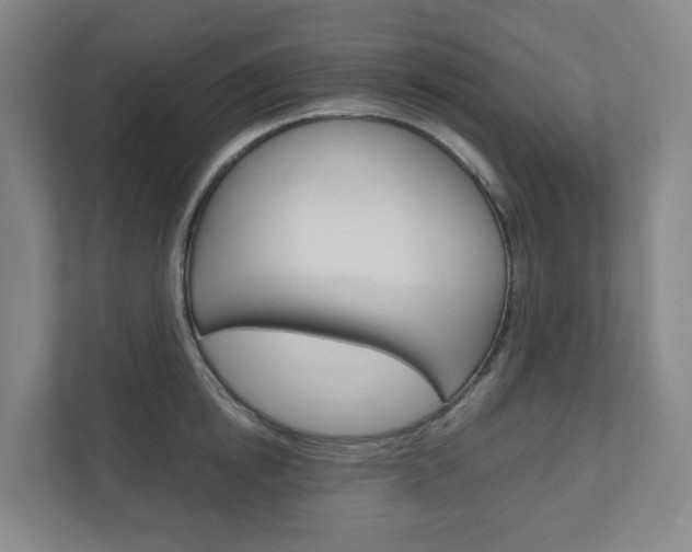X0000111030854200906251116