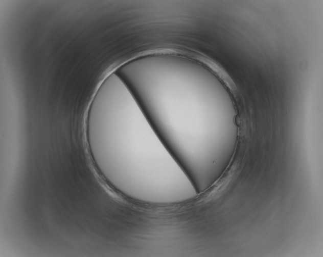 X0000111030858200906251116