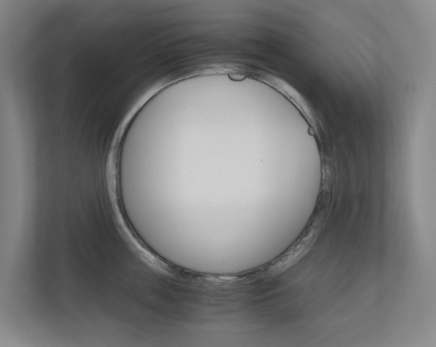 X0000111030859200906251116