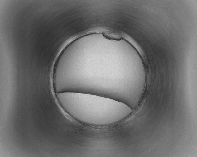 X0000111030861200906251116