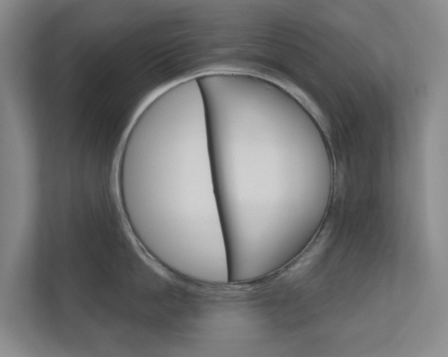 X0000111030862200906251116
