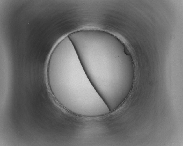 X0000111030864200906251116