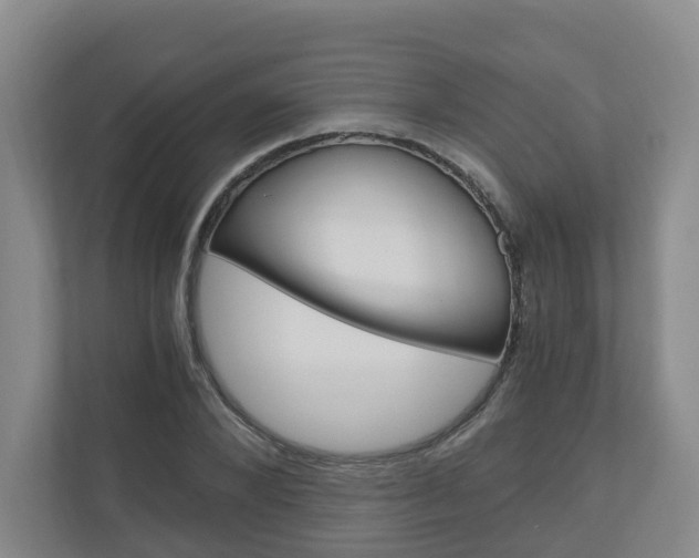 X0000111030880200906251115