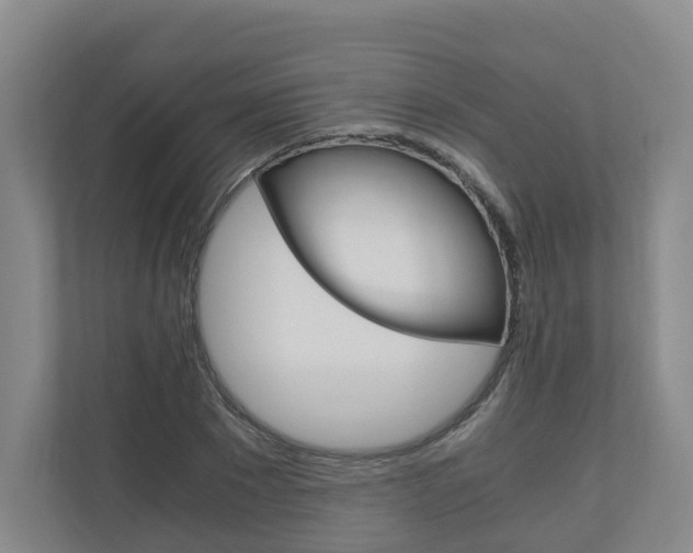 X0000111030881200906251115