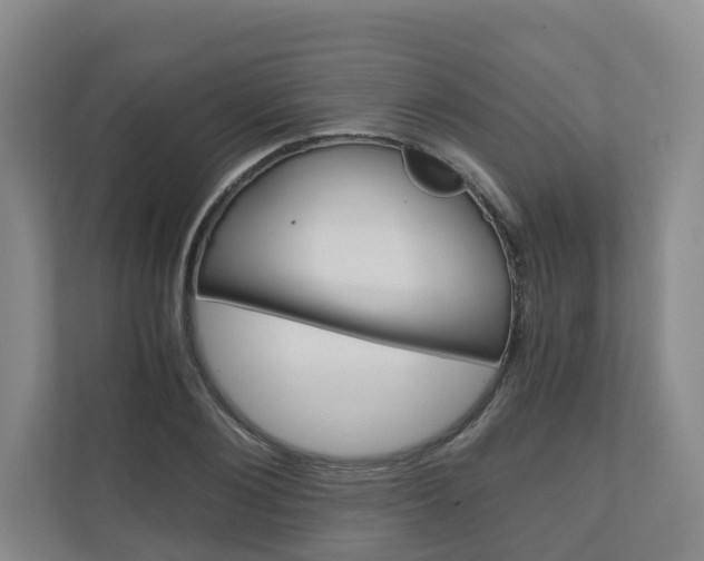 X0000111030884200906251115