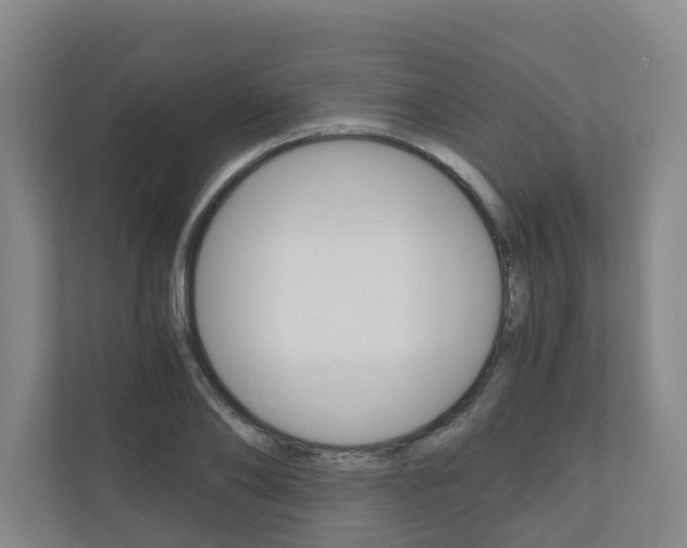 X0000111030886200906251115