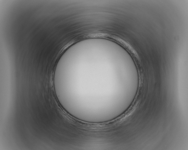 X0000111030889200906251115