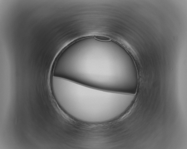 X0000111030892200906251115