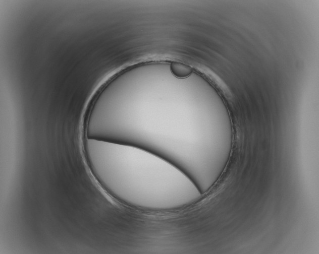 X0000111030894200906251115