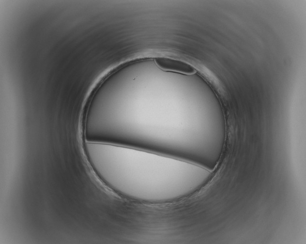 X0000111030896200906251115