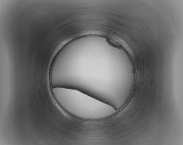 X0000111030898200906251115