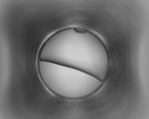 X0000111030902200906251115