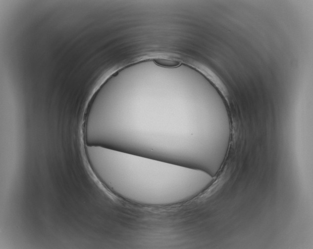 X0000111030906200906251115