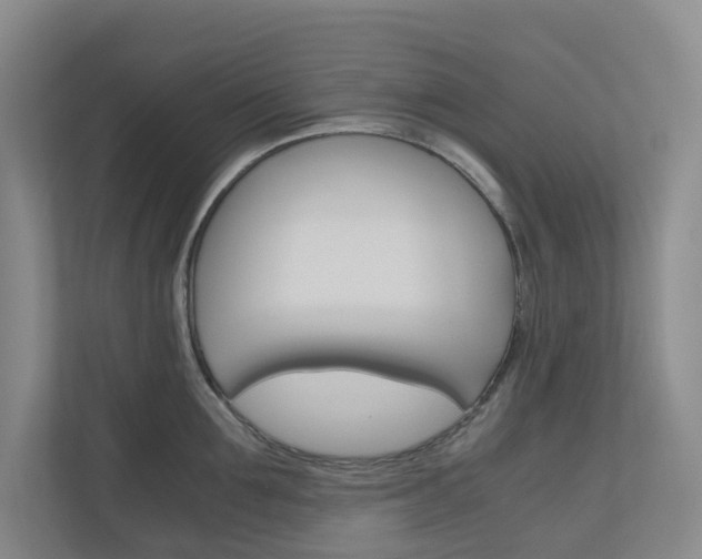 X0000111030907200906251115