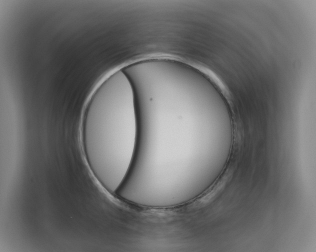 X0000111030910200906251115