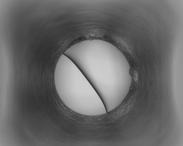 X0000111030915200906251114