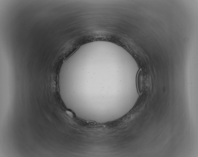 X0000111030916200906251114