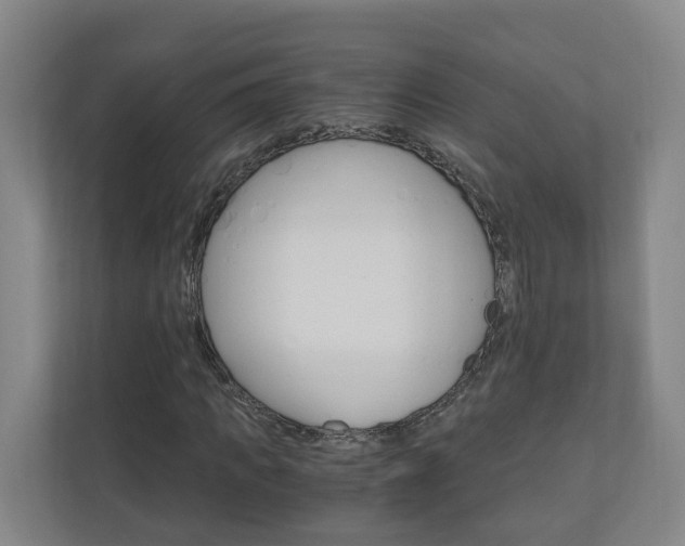 X0000111030917200906251114