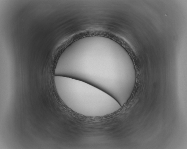 X0000111030919200906251114