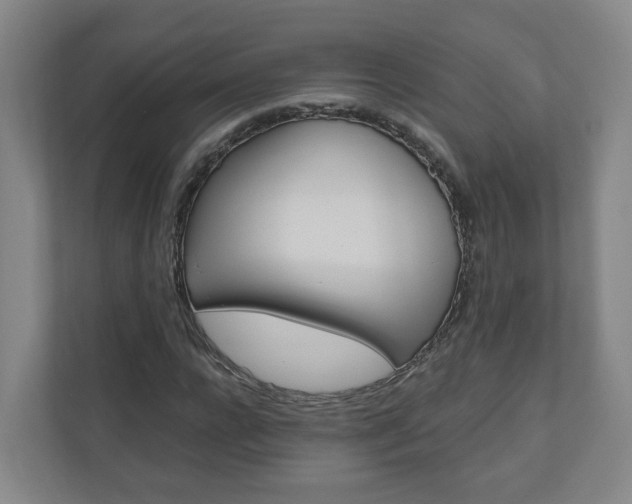 X0000111030920200906251114