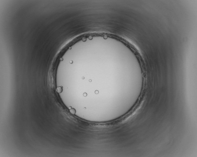 X0000111030925200906251115
