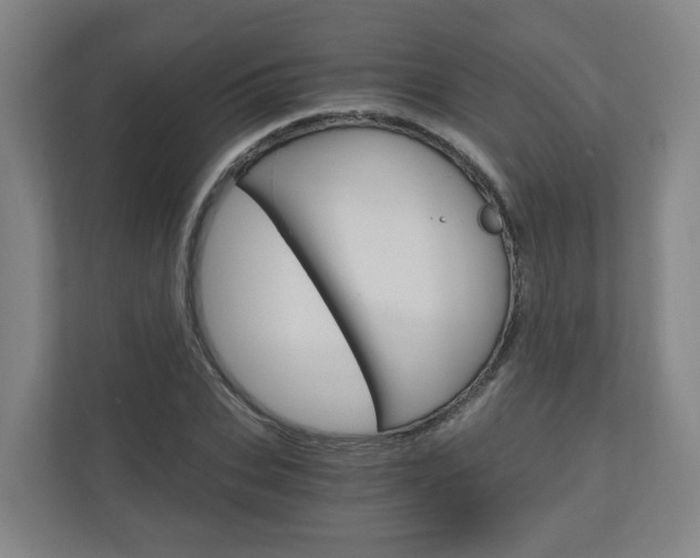 X0000111030927200906251115