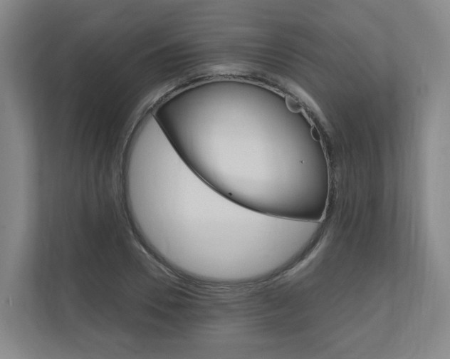 X0000111030930200906251115