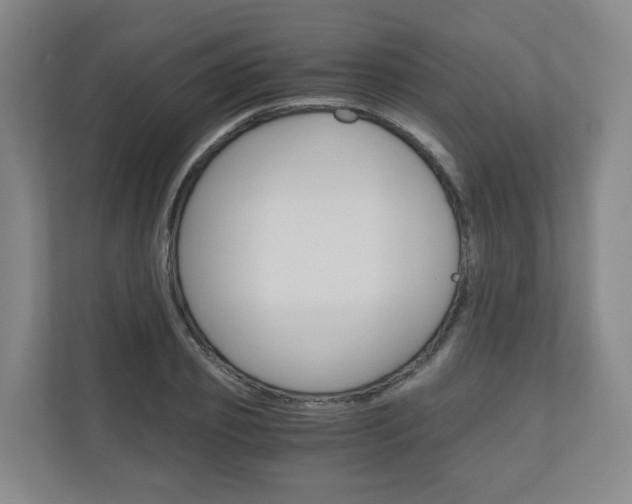 X0000111030933200906251115