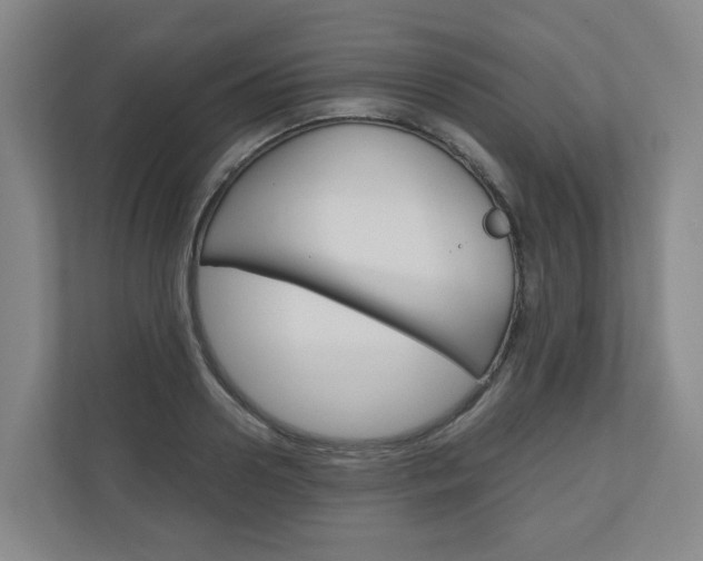 X0000111030938200906251115