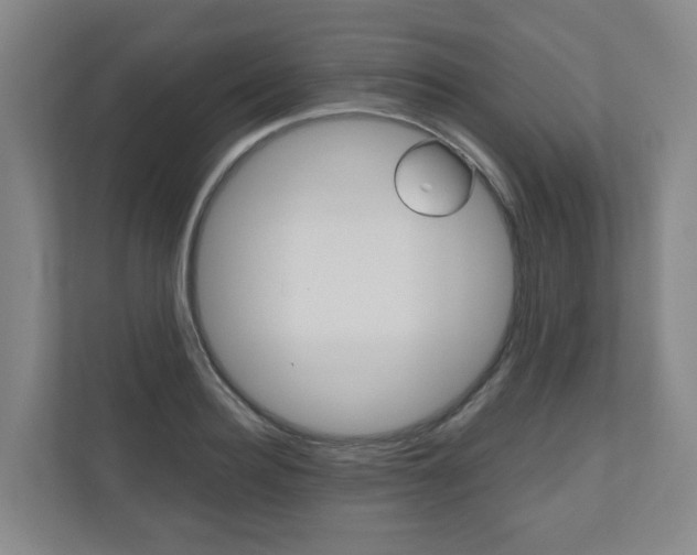 X0000111030940200906251115