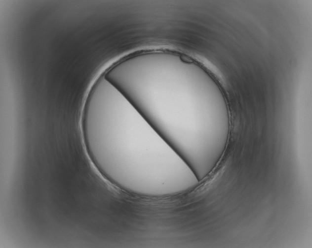X0000111030943200906251115