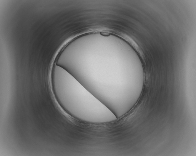 X0000111030947200906251115