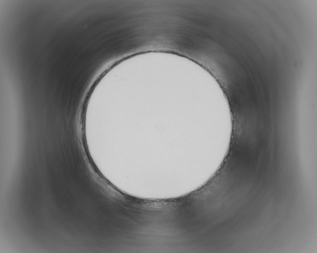 X0000111030950200906251115