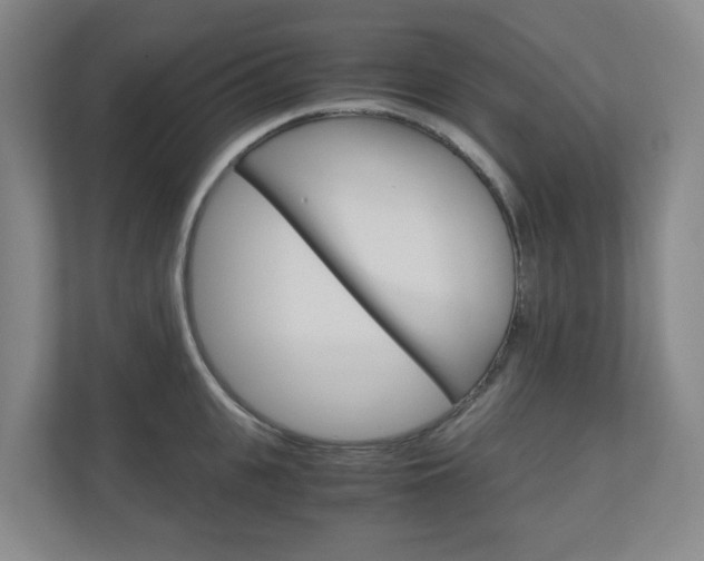 X0000111030951200906251115