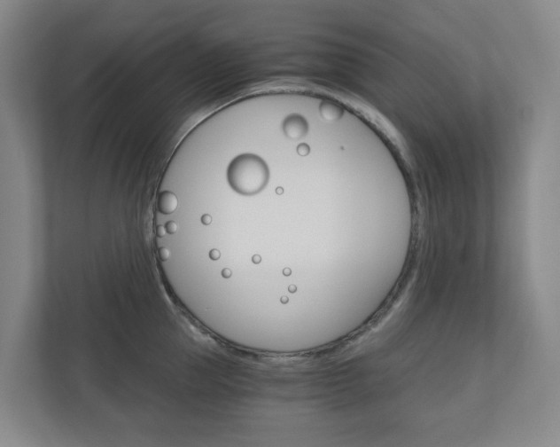X0000111030953200906251115
