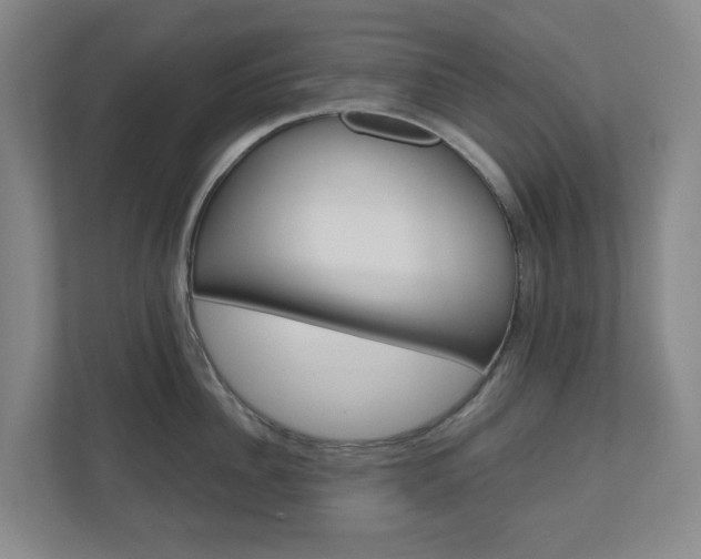 X0000111030956200906251115