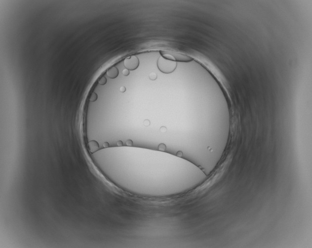 X0000111030957200906251115