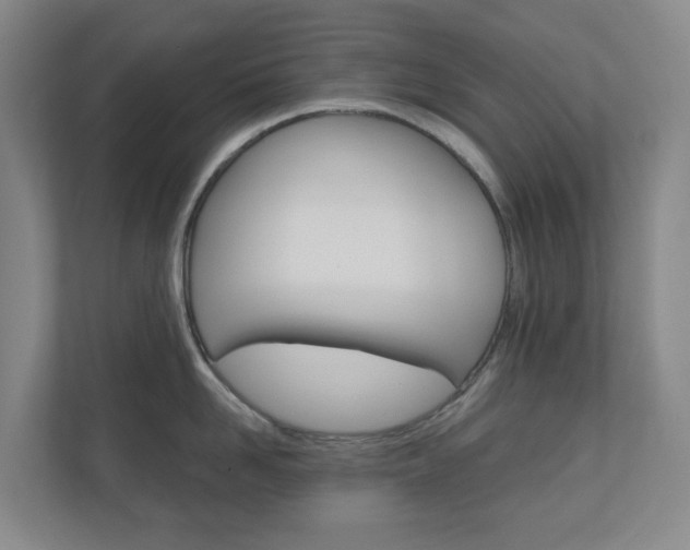 X0000111030958200906251115