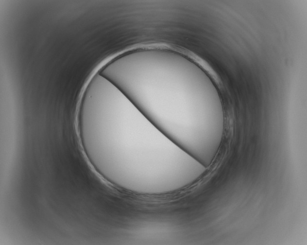 X0000111030959200906251115
