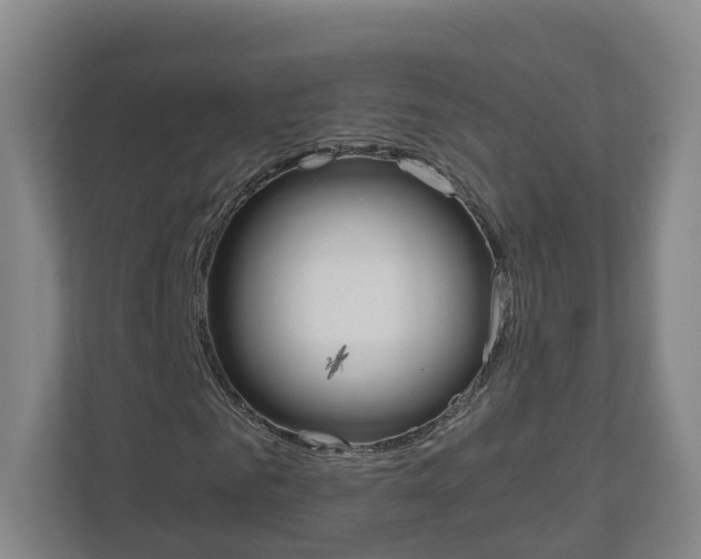 X0000111030961200906251114
