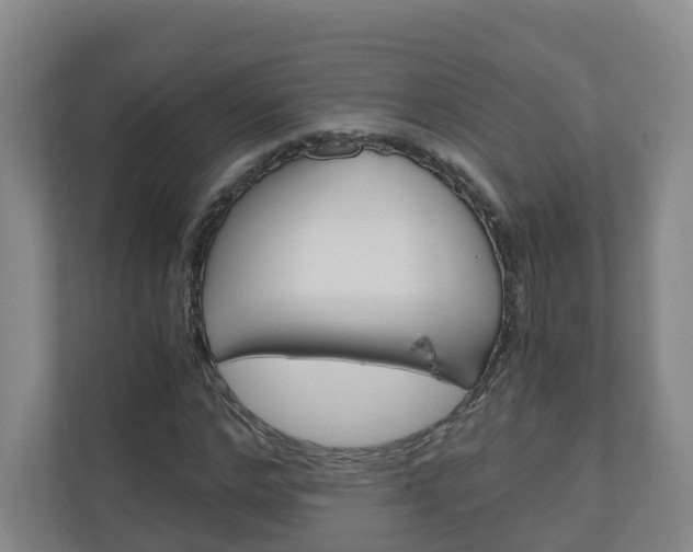 X0000111030968200906251114