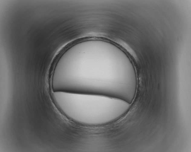 X0000111030972200906251114