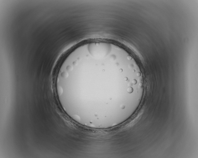 X0000111030974200906251114