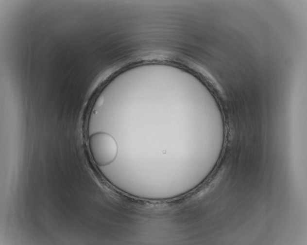 X0000111030978200906251114