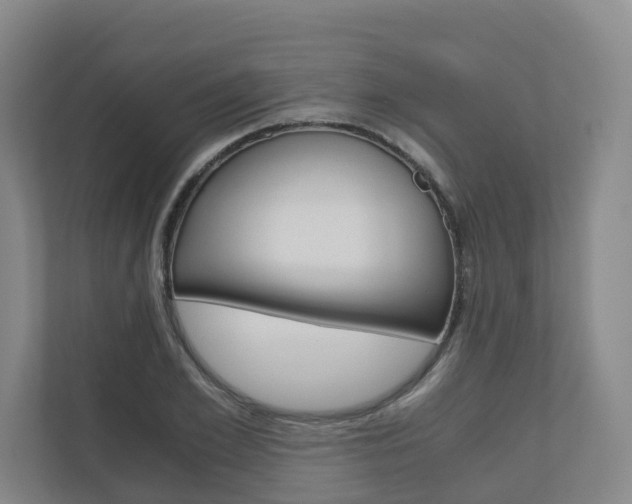 X0000111030981200906251114