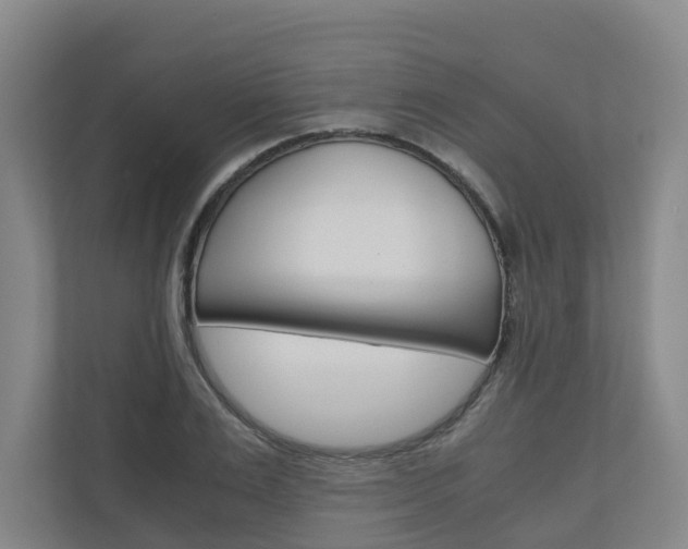 X0000111030983200906251114
