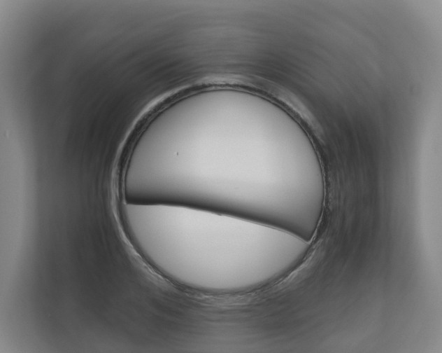 X0000111030984200906251114