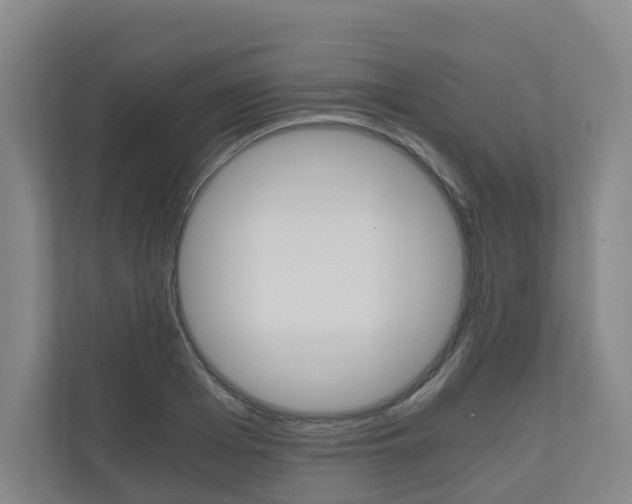 X0000111030985200906251114
